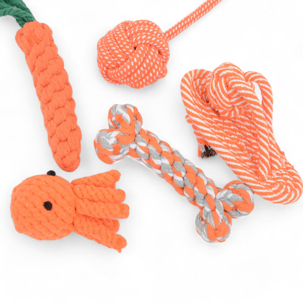 Dog Rope Toy Set Five Durable Chew Toys with Carrot Octopus Bone and Ball Designs for Small to Medium Dogs, 5 Pack