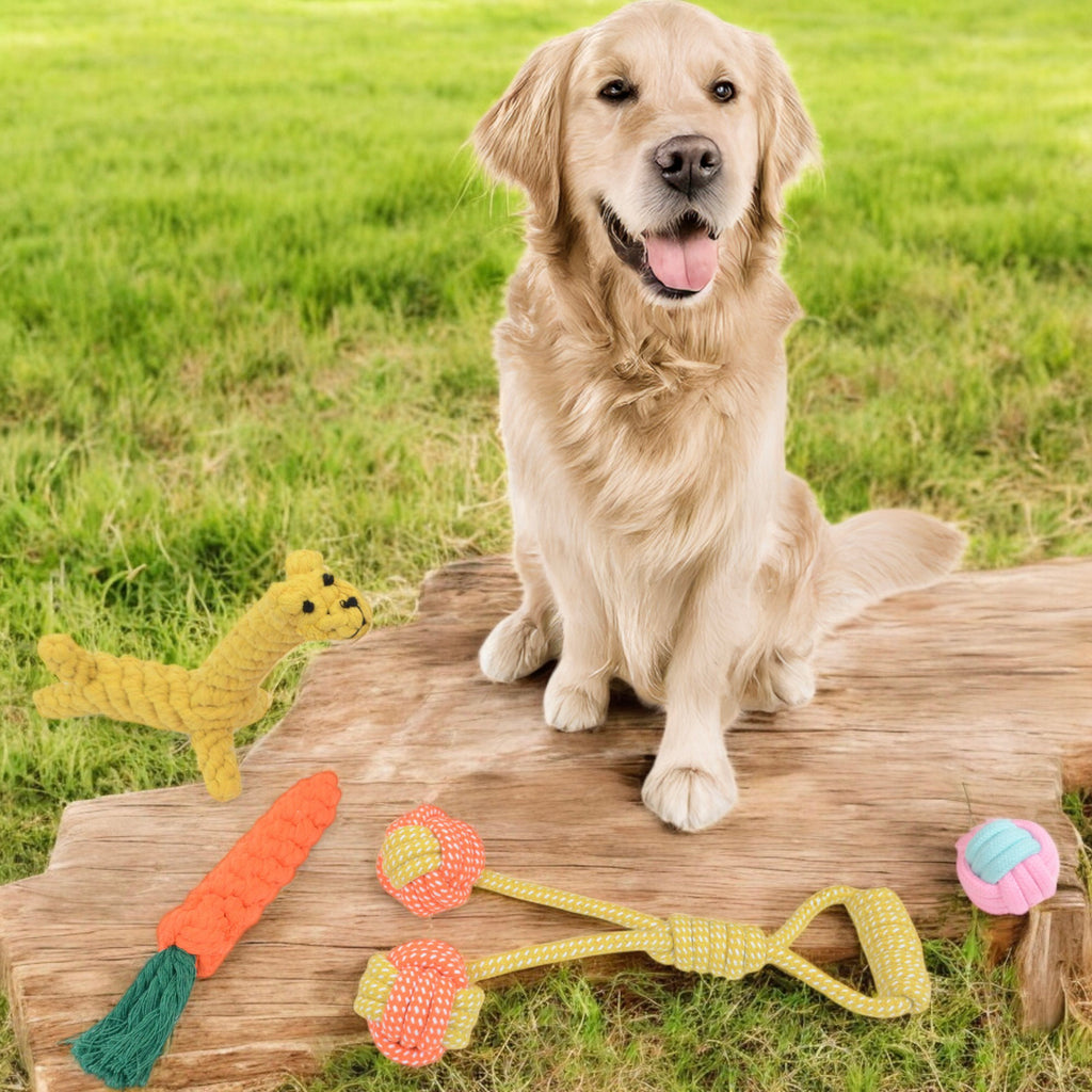 Dog Rope Toy Set Four Durable Chew Toys with Giraffe Carrot and Ball Designs for Small to Medium Dogs, 4 Pack