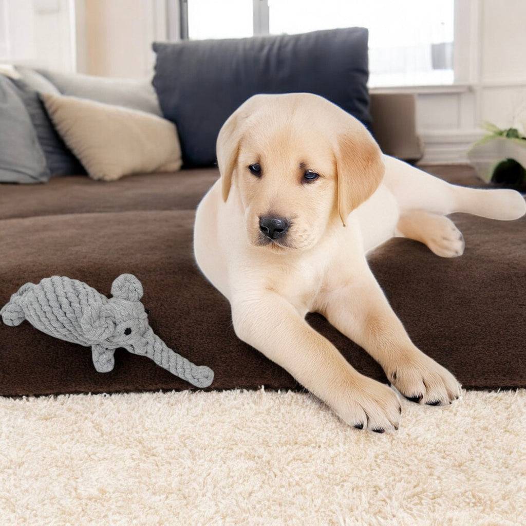 Durable Dog Rope Chew Toy for Interactive Play, Fun for Small to Medium Dogs, Elephant Design
