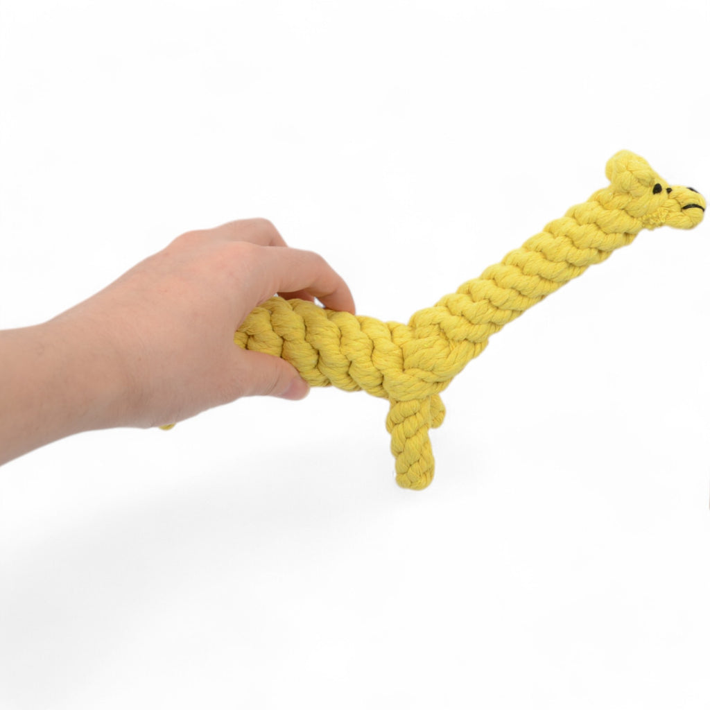 Durable Dog Rope Chew Toy for Interactive Play, Fun for Small to Medium Dogs, Elephant Design