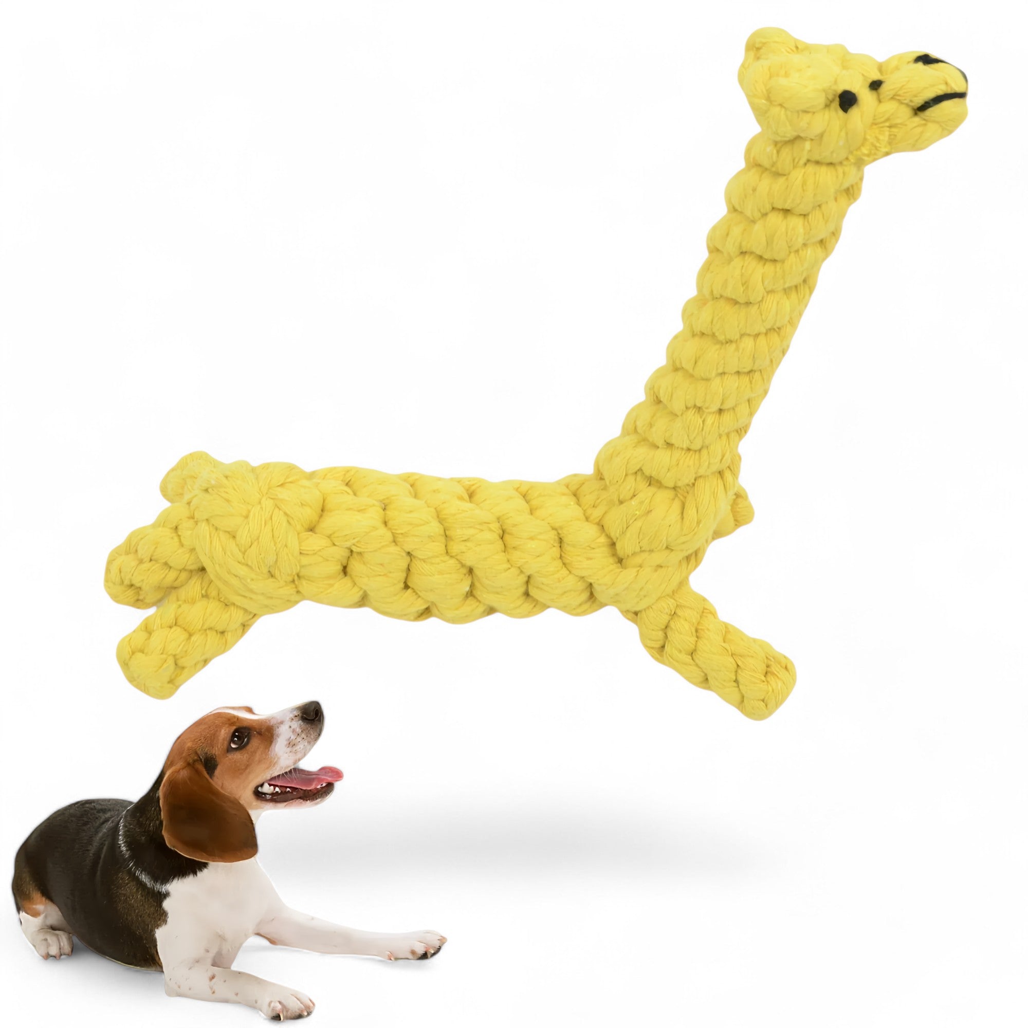 Durable Dog Rope Chew Toy for Interactive Play, Fun for Small to Medium Dogs, Elephant Design