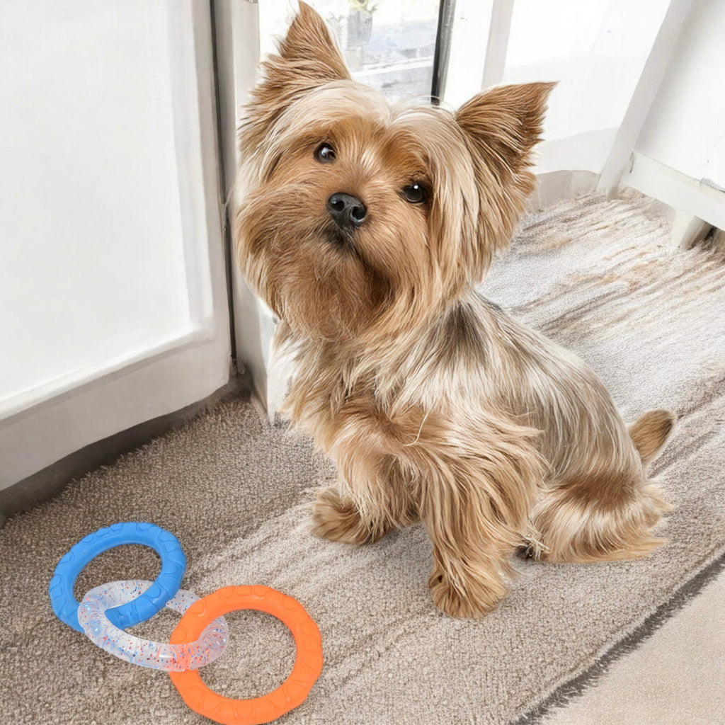 Dog Chew Toy TPR Material Rings Set of Three Durable Tug-of-war Interactive Toy
