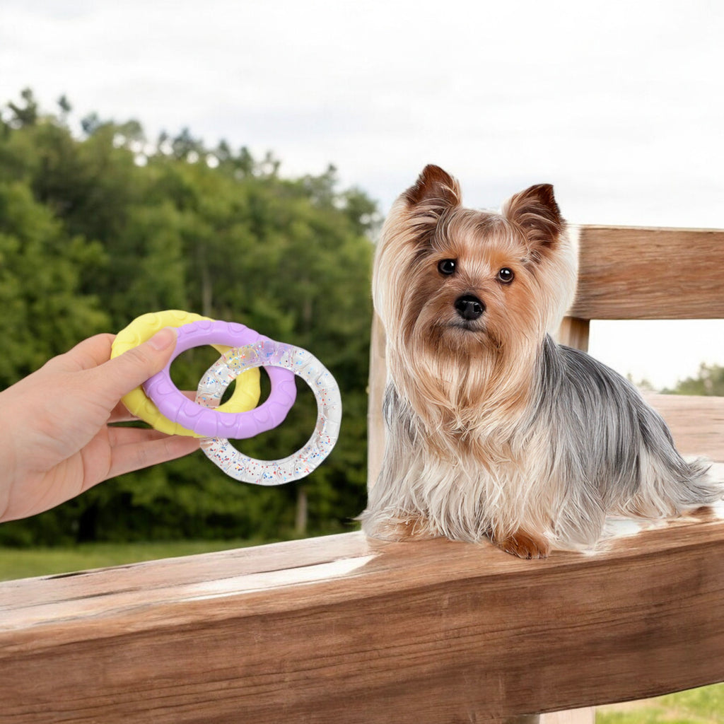 Dog Chew Toy TPR Material Rings Set of Three Durable Tug-of-war Interactive Toy