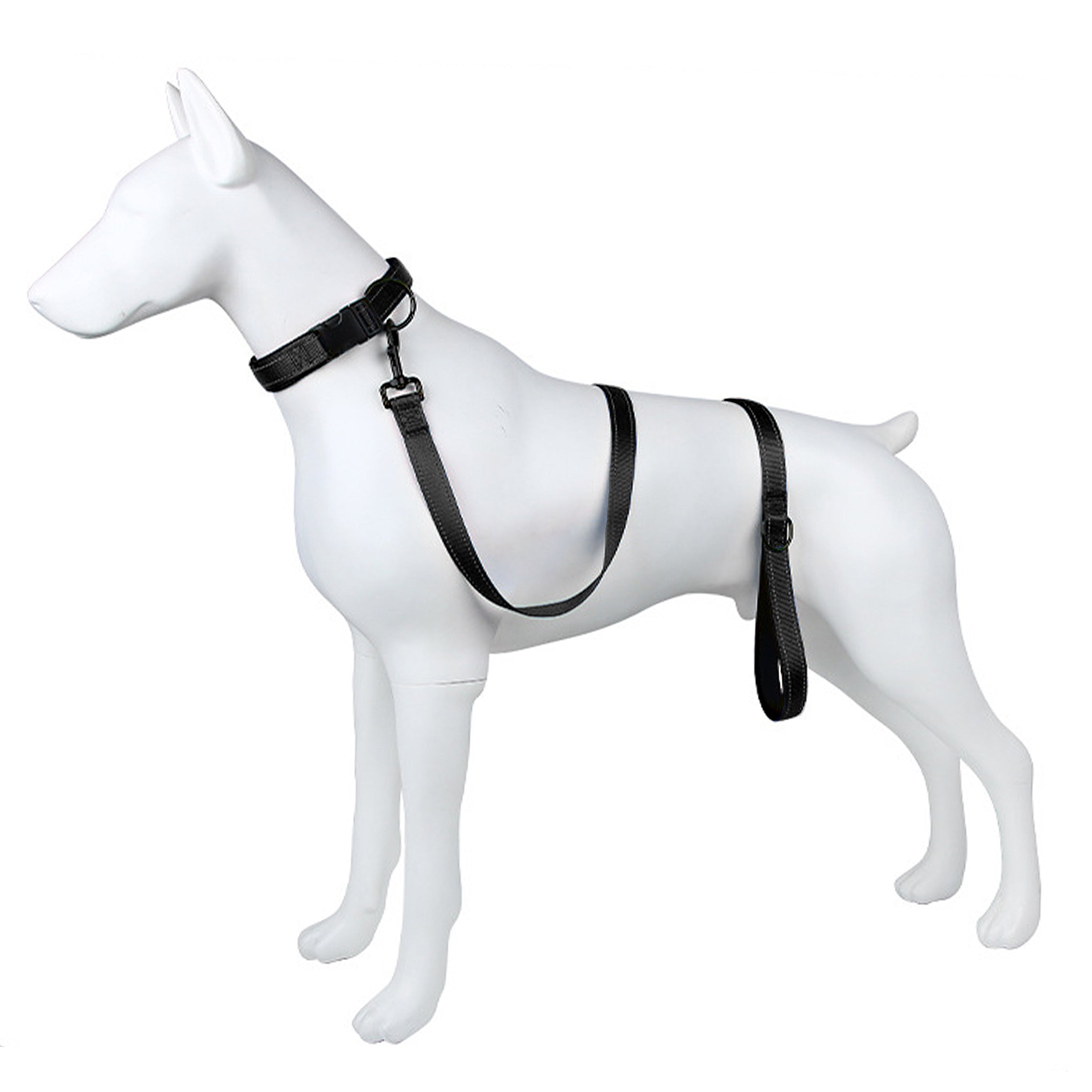 Anna-Kaci Dog Leash Comfort Reflective Nylon Pet Training Leash with Padded Handle 4ft and 5ft