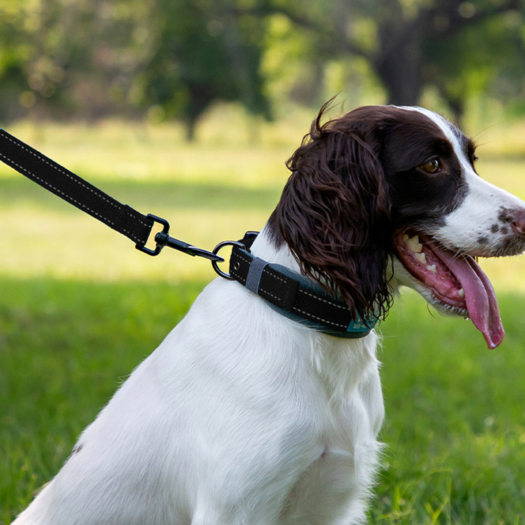 Anna-Kaci Dog Leash Comfort Reflective Nylon Pet Training Leash with Padded Handle 4ft and 5ft
