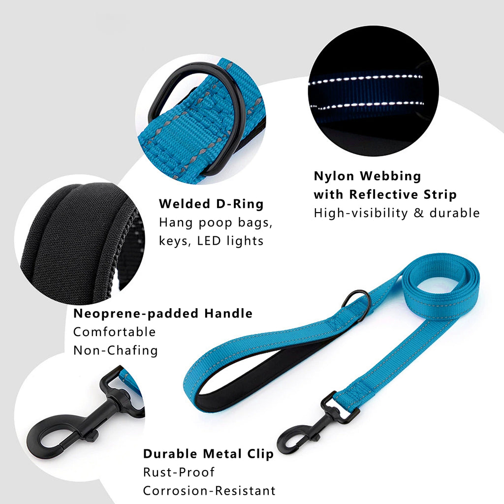 Anna-Kaci Dog Leash Comfort Reflective Nylon Pet Training Leash with Padded Handle 4ft and 5ft