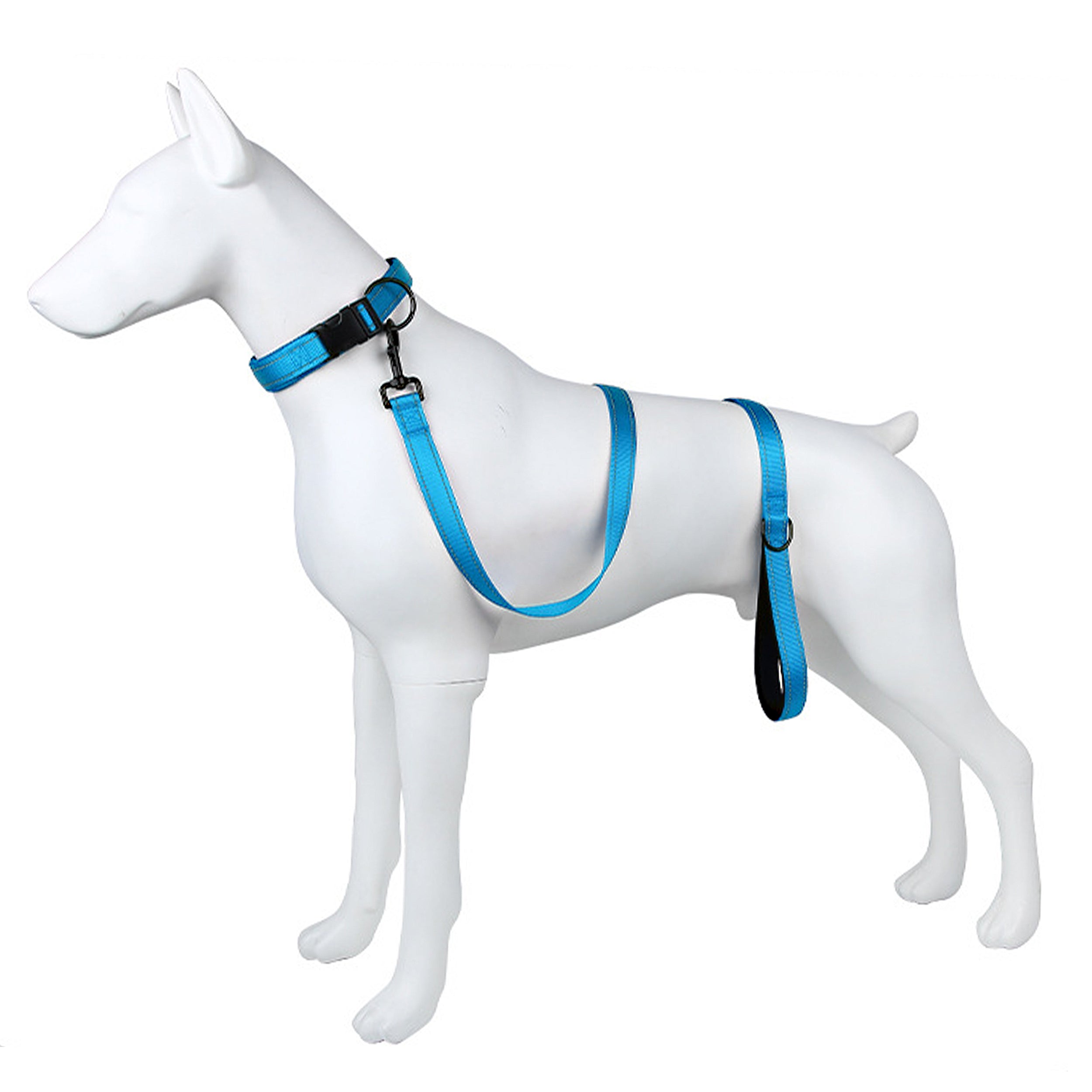 Anna-Kaci Dog Leash Comfort Reflective Nylon Pet Training Leash with Padded Handle 4ft and 5ft