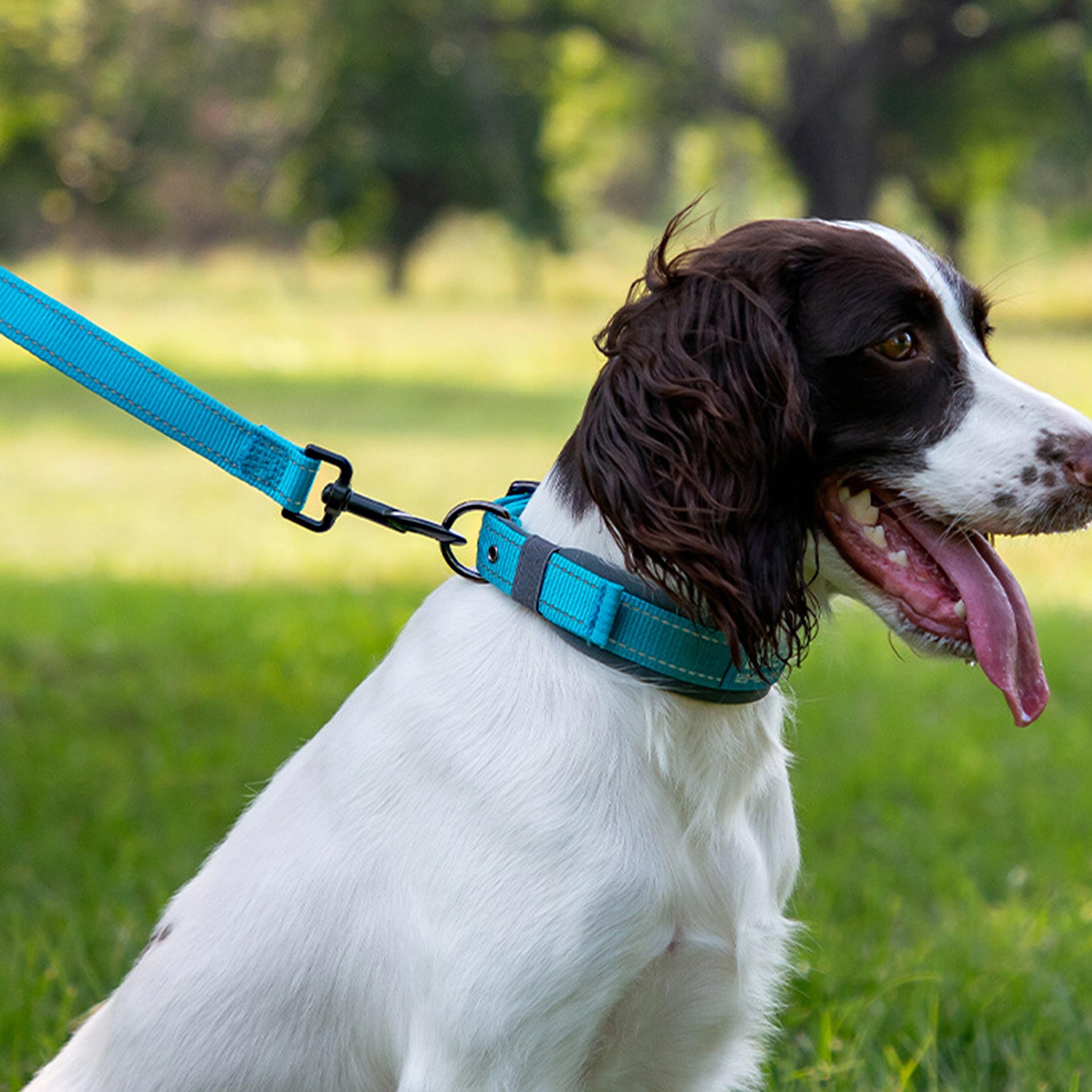 Anna-Kaci Dog Leash Comfort Reflective Nylon Pet Training Leash with Padded Handle 4ft and 5ft