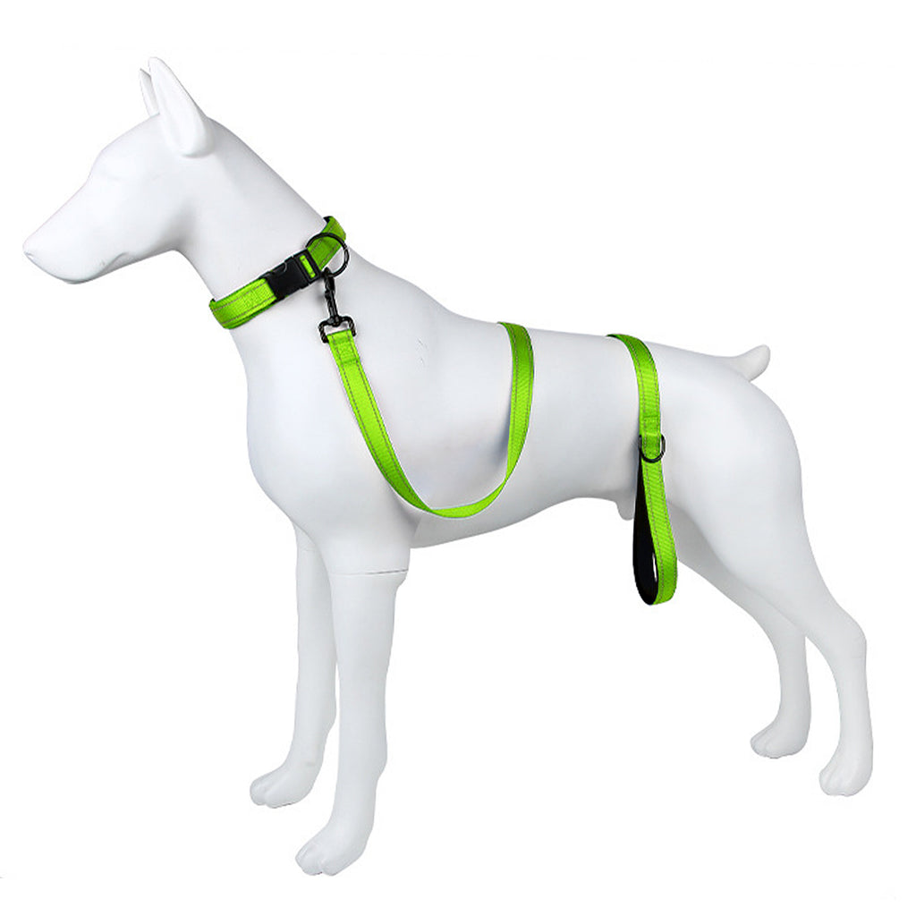 Anna-Kaci Dog Leash Comfort Reflective Nylon Pet Training Leash with Padded Handle 4ft and 5ft