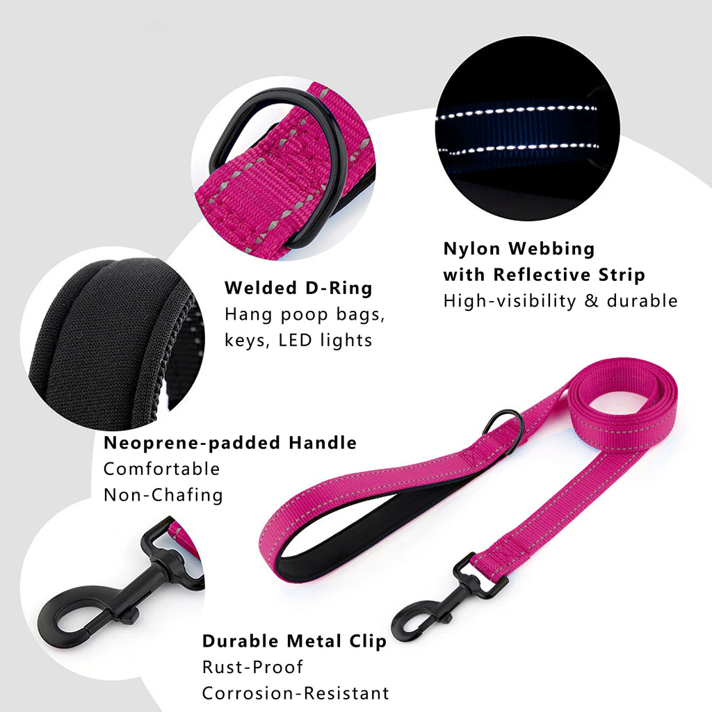 Anna-Kaci Dog Leash Comfort Reflective Nylon Pet Training Leash with Padded Handle 4ft and 5ft