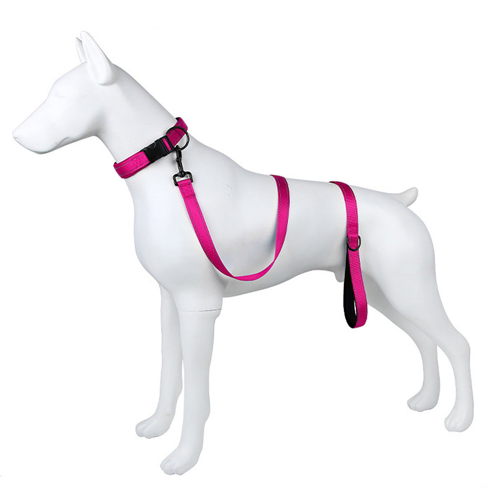 Anna-Kaci Dog Leash Comfort Reflective Nylon Pet Training Leash with Padded Handle 4ft and 5ft