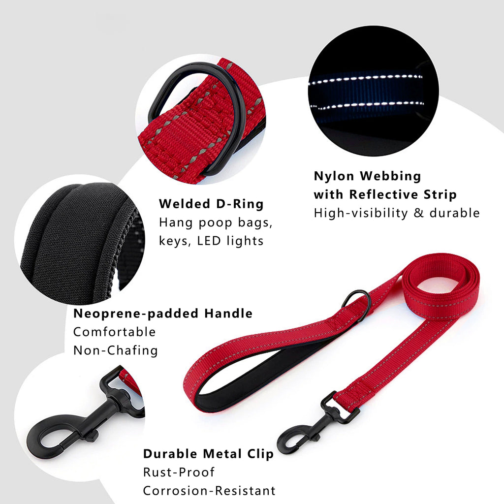 Anna-Kaci Dog Leash Comfort Reflective Nylon Pet Training Leash with Padded Handle 4ft and 5ft