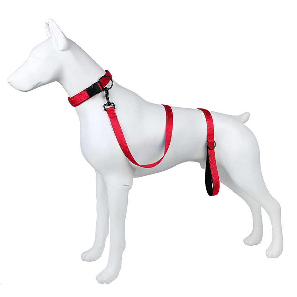 Anna-Kaci Dog Leash Comfort Reflective Nylon Pet Training Leash with Padded Handle 4ft and 5ft