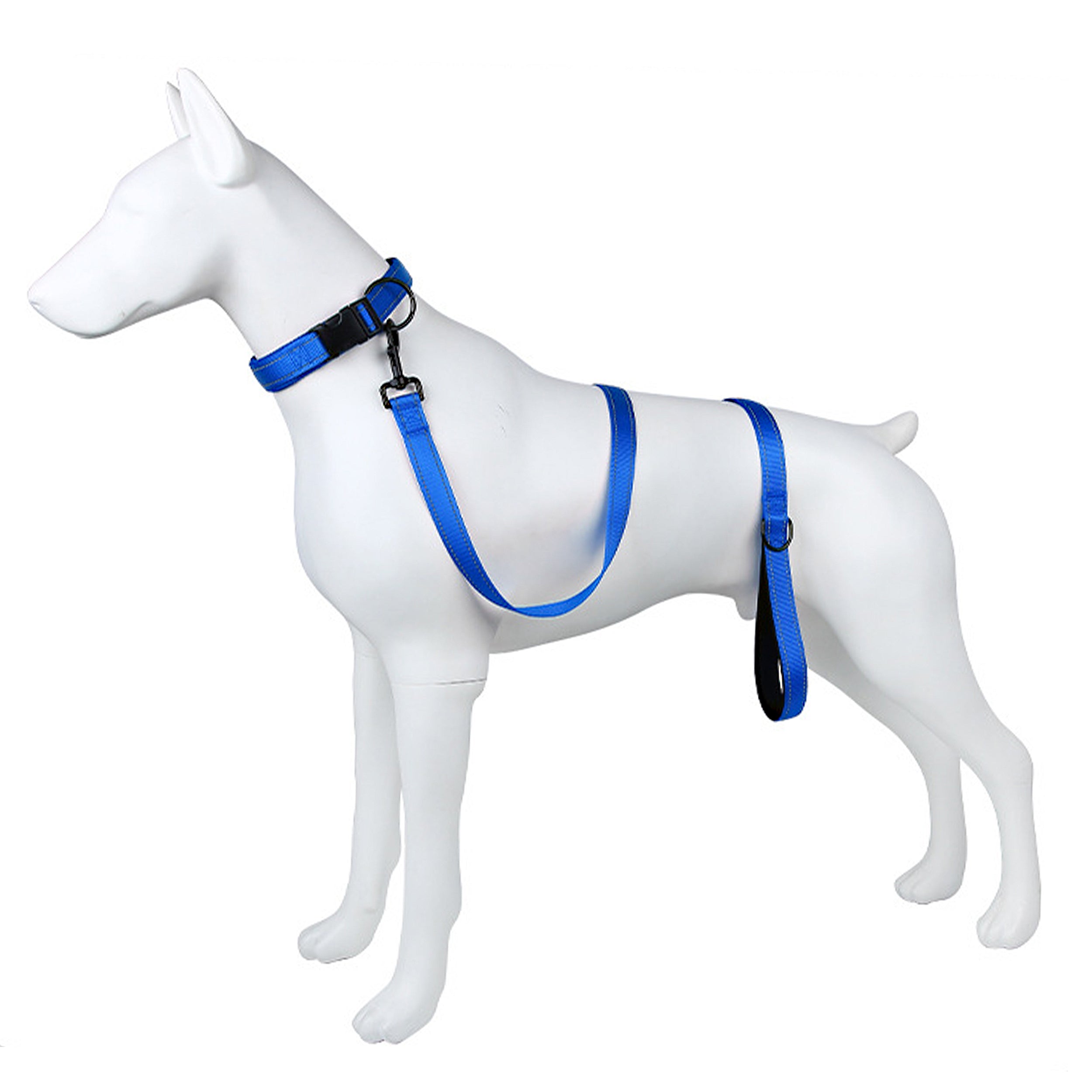 Anna-Kaci Dog Leash Comfort Reflective Nylon Pet Training Leash with Padded Handle 4ft and 5ft