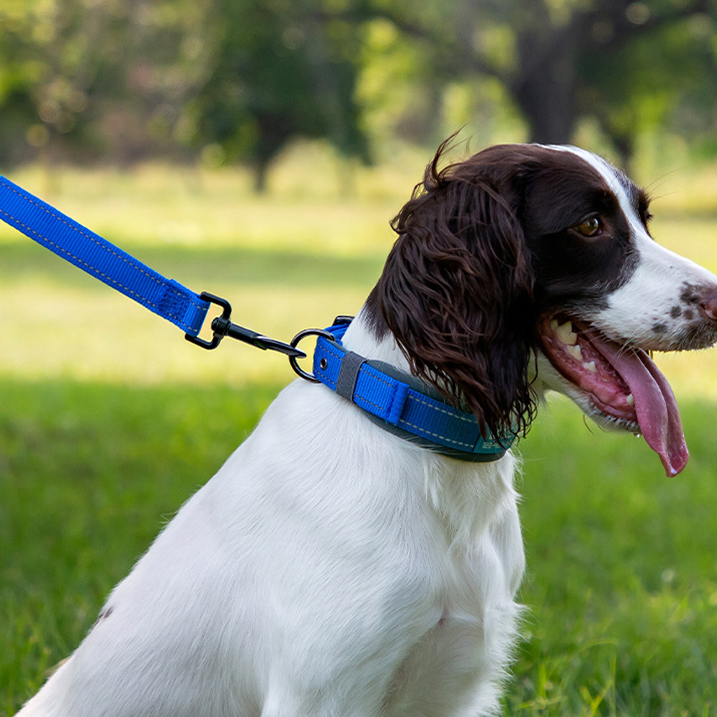 Anna-Kaci Dog Leash Comfort Reflective Nylon Pet Training Leash with Padded Handle 4ft and 5ft
