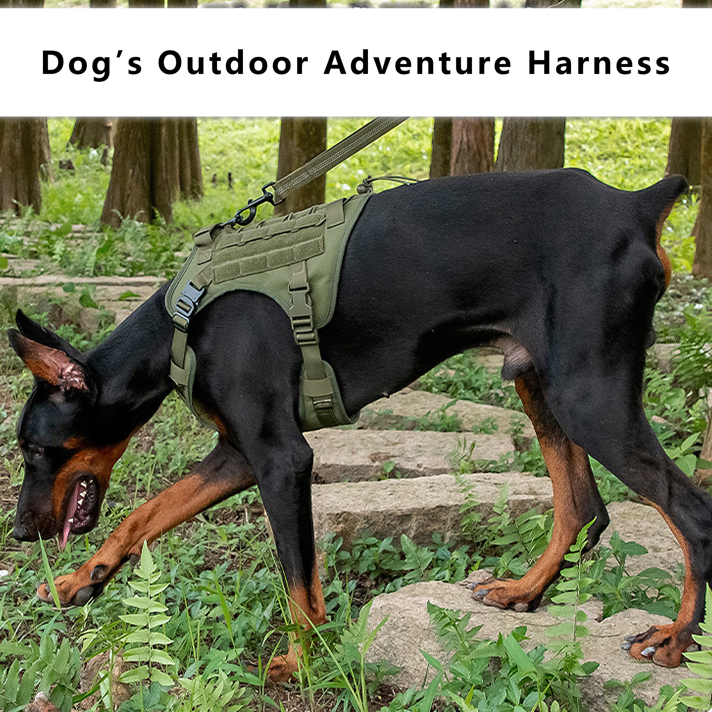 Anna-Kaci Adventure No Pull Dog Harness Adjustable Soft Padded Comfort Pet Harness Outdoors