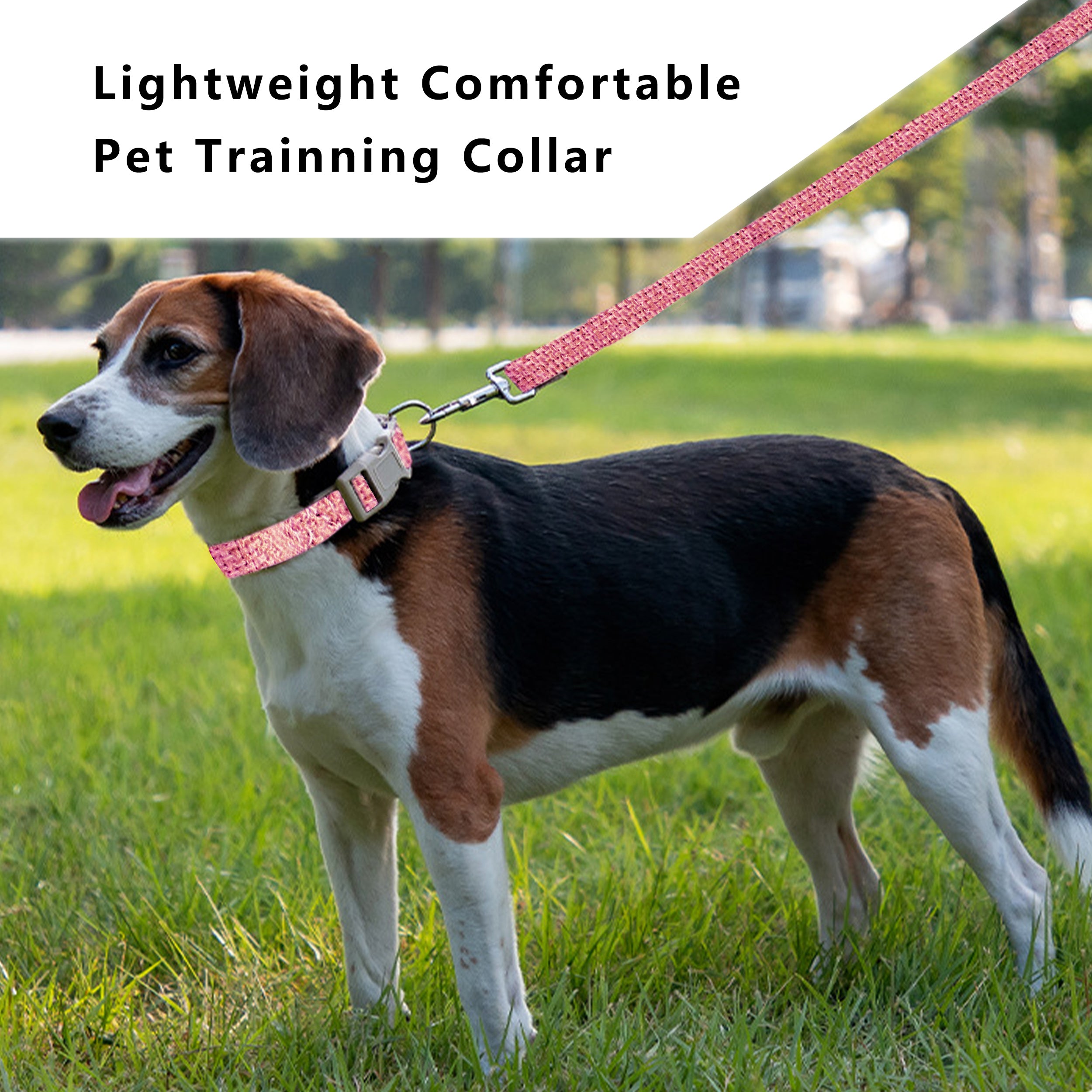 Anna-Kaci Dog Collar Adjustable Lightweight Comfort Cotton-Linen Pet Collars for All Breeds