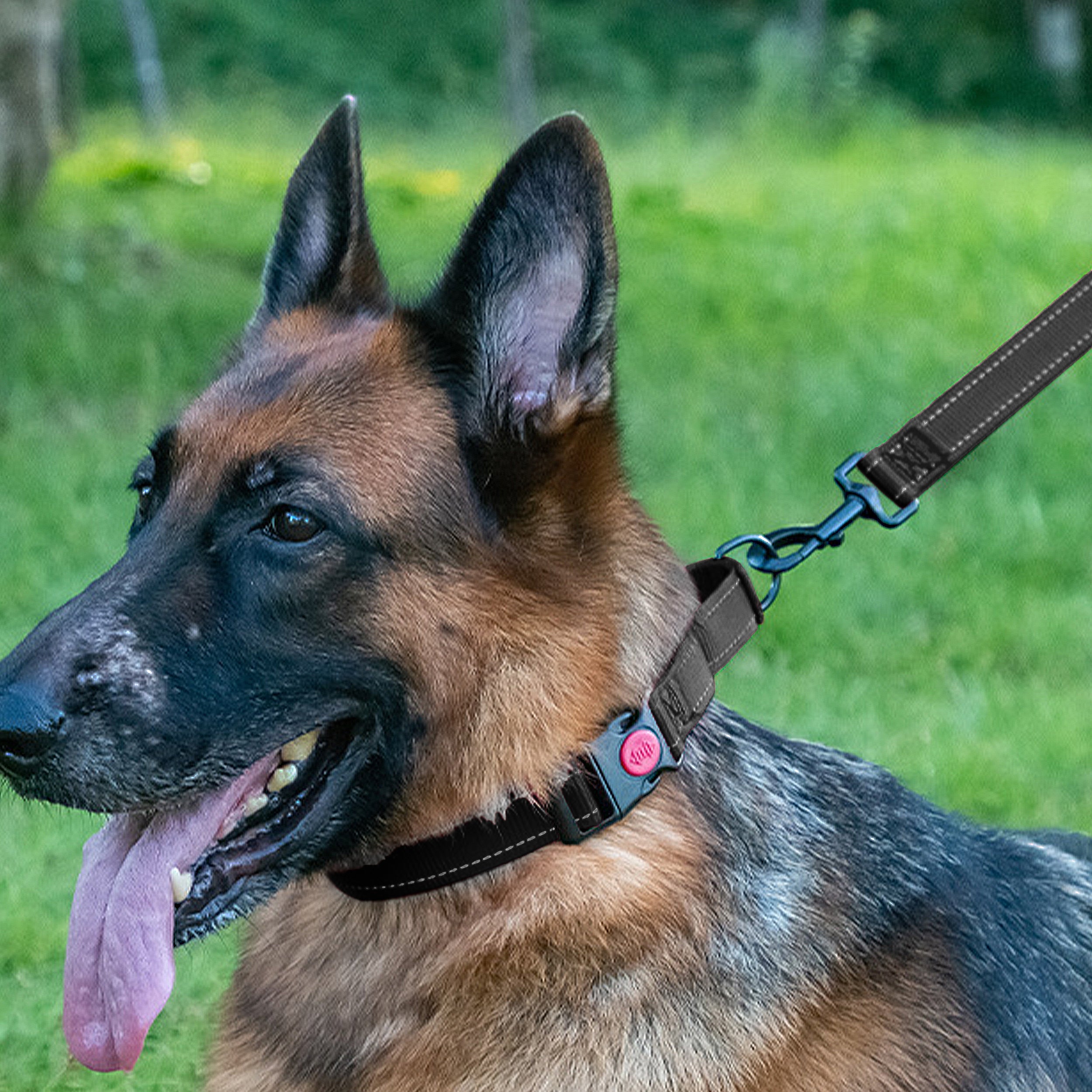 Anna-Kaci Dog Collar Adjustable Reflective Comfort Nylon Pet Collars for All Breeds