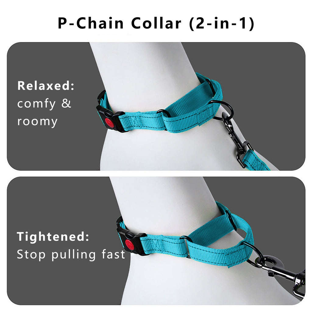 Anna-Kaci Dog Collar Adjustable Reflective Comfort Nylon Pet Collars for All Breeds