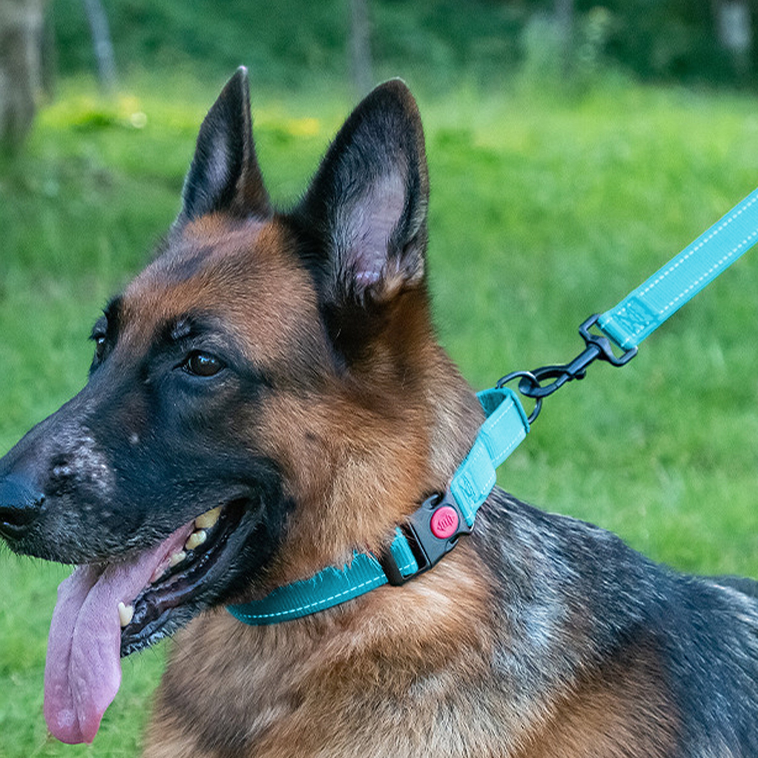 Anna-Kaci Dog Collar Adjustable Reflective Comfort Nylon Pet Collars for All Breeds