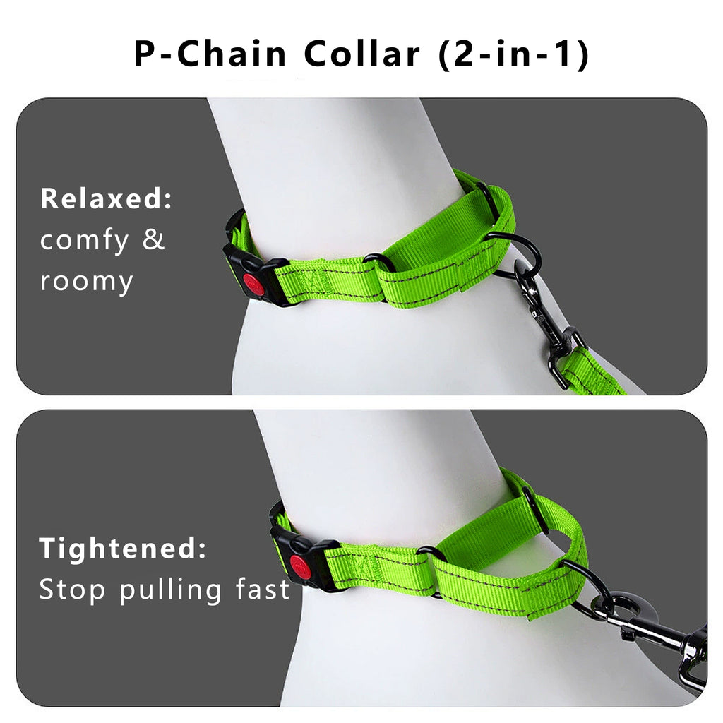 Anna-Kaci Dog Collar Adjustable Reflective Comfort Nylon Pet Collars for All Breeds