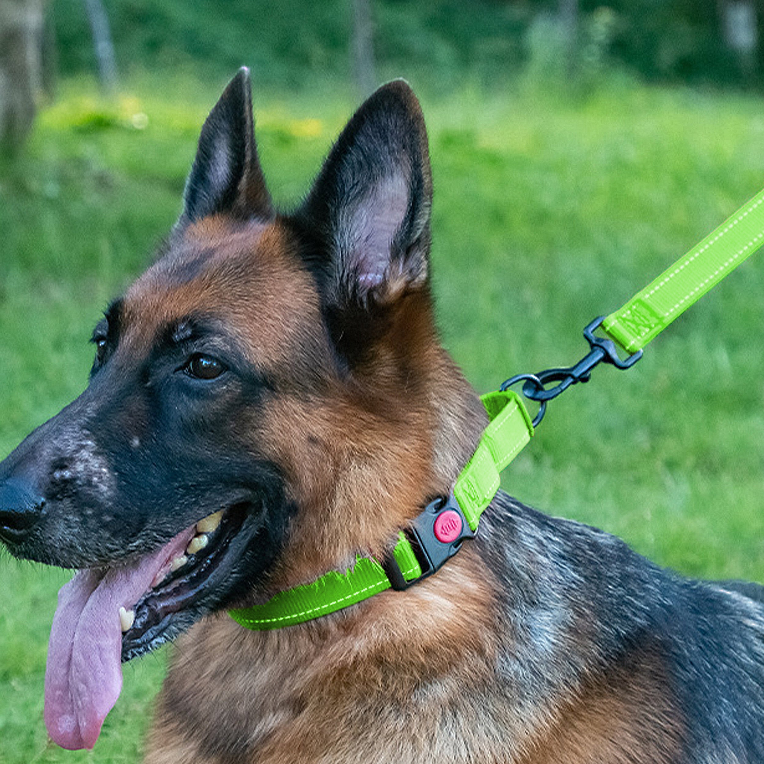 Anna-Kaci Dog Collar Adjustable Reflective Comfort Nylon Pet Collars for All Breeds
