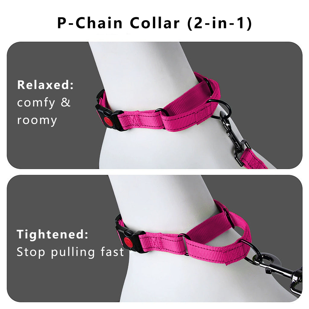 Anna-Kaci Dog Collar Adjustable Reflective Comfort Nylon Pet Collars for All Breeds