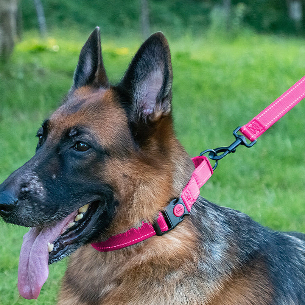Anna-Kaci Dog Collar Adjustable Reflective Comfort Nylon Pet Collars for All Breeds