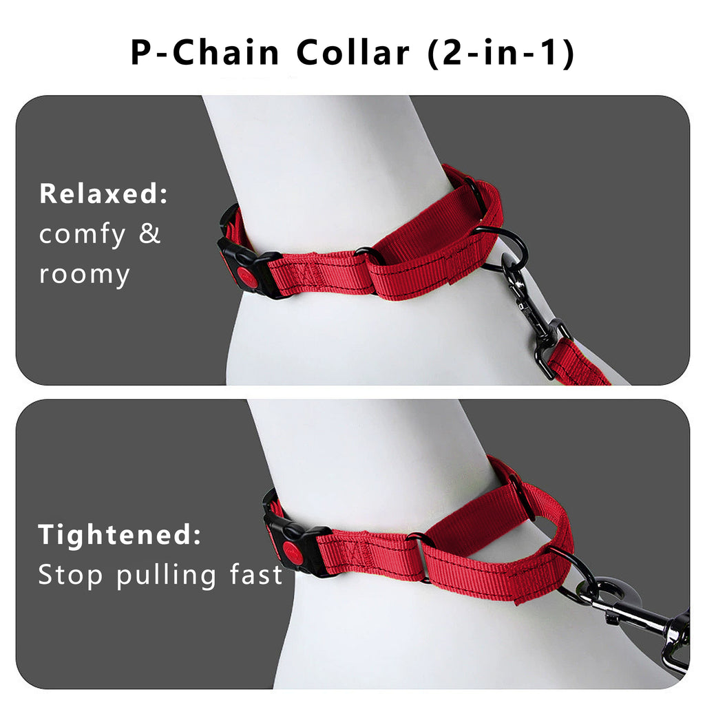 Anna-Kaci Dog Collar Adjustable Reflective Comfort Nylon Pet Collars for All Breeds