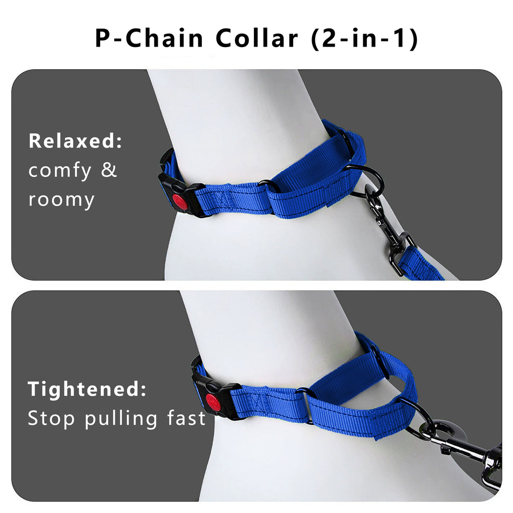 Anna-Kaci Dog Collar Adjustable Reflective Comfort Nylon Pet Collars for All Breeds