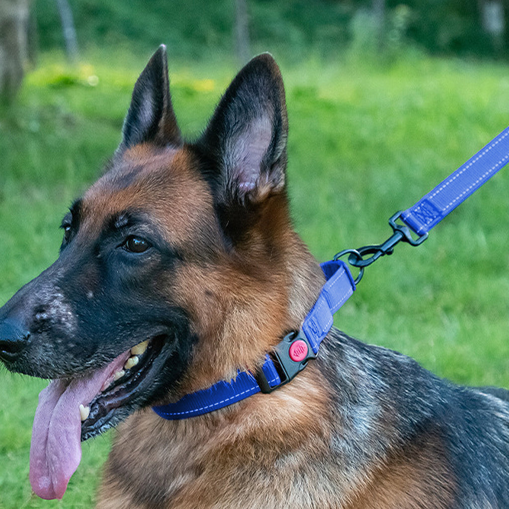 Anna-Kaci Dog Collar Adjustable Reflective Comfort Nylon Pet Collars for All Breeds