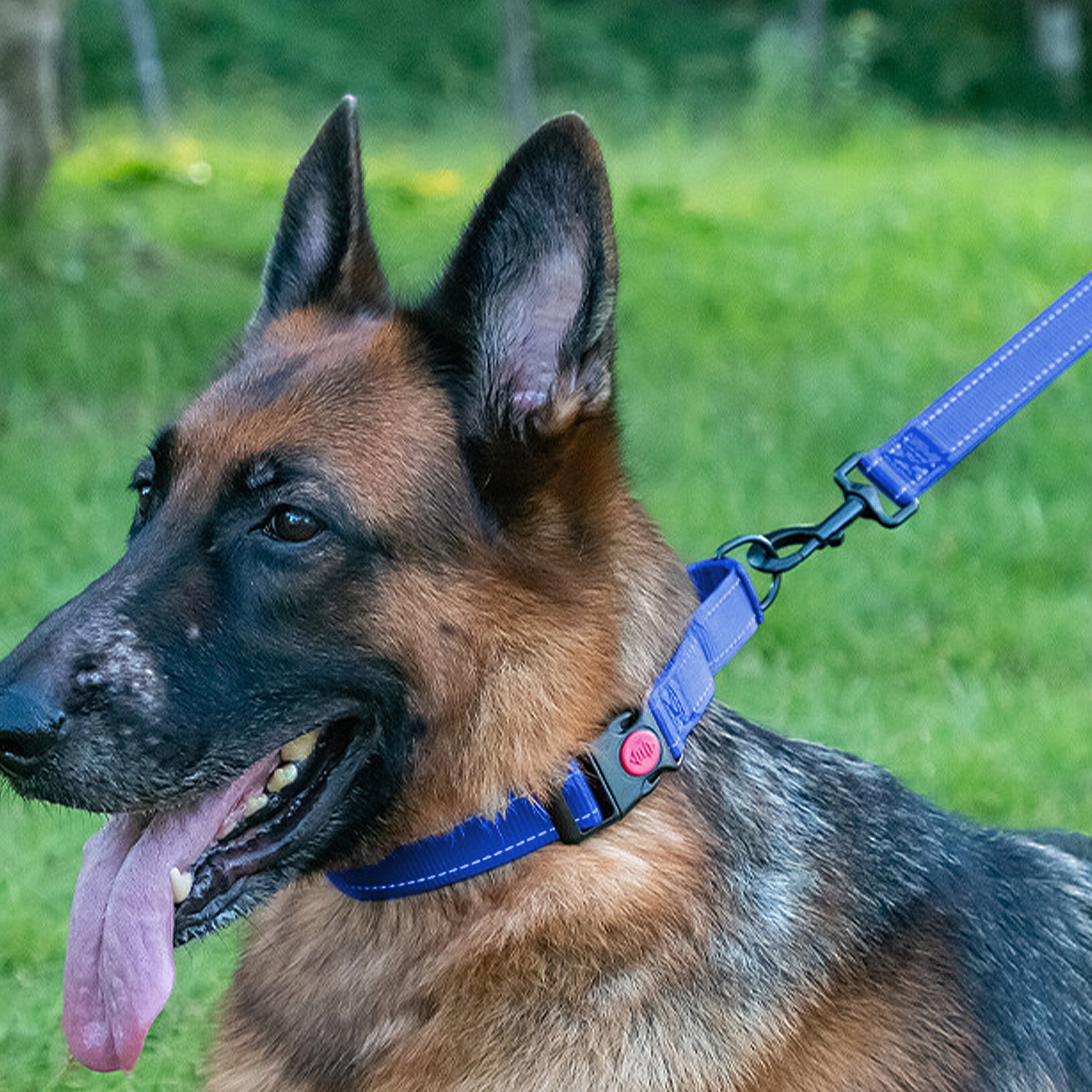 Anna-Kaci Dog Collar Adjustable Reflective Comfort Nylon Pet Collars for All Breeds