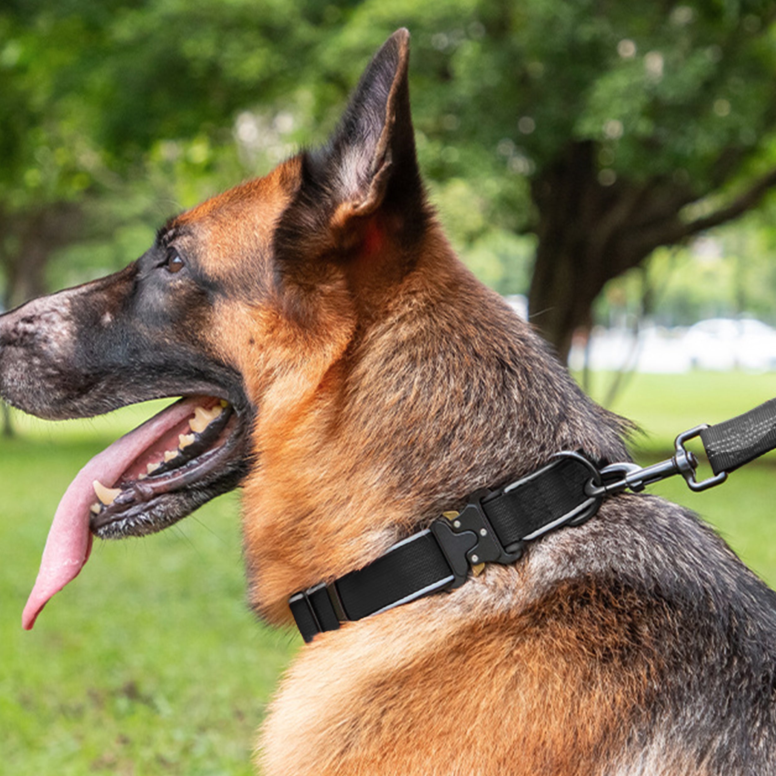 Anna-Kaci Dog Collar Reflective Comfort Padded Adjustable Adventure Nylon Pet Collars for All Breeds