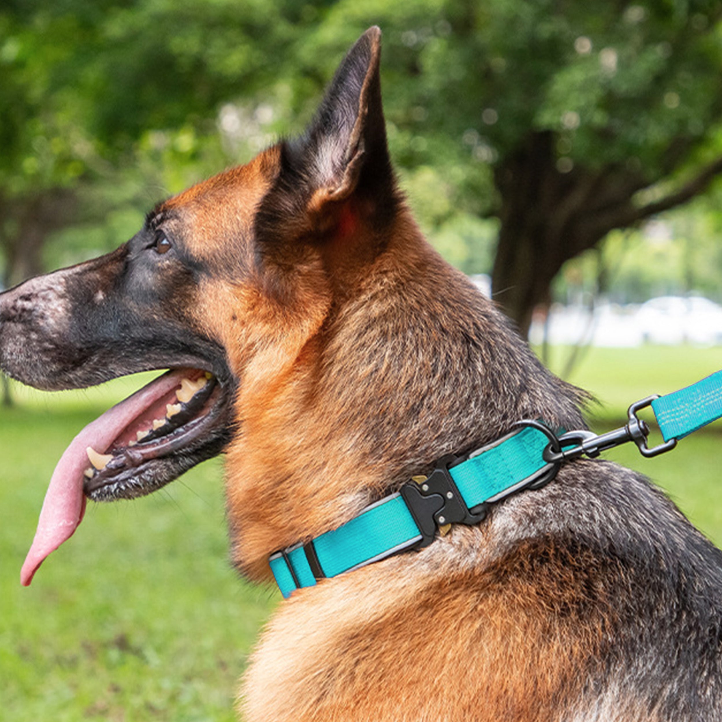 Anna-Kaci Dog Collar Reflective Comfort Padded Adjustable Adventure Nylon Pet Collars for All Breeds