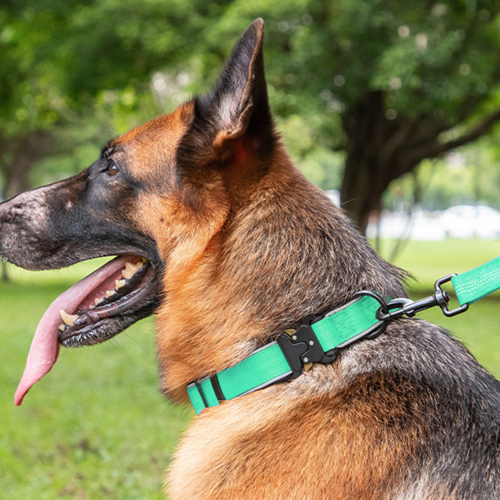Anna-Kaci Dog Collar Reflective Comfort Padded Adjustable Adventure Nylon Pet Collars for All Breeds