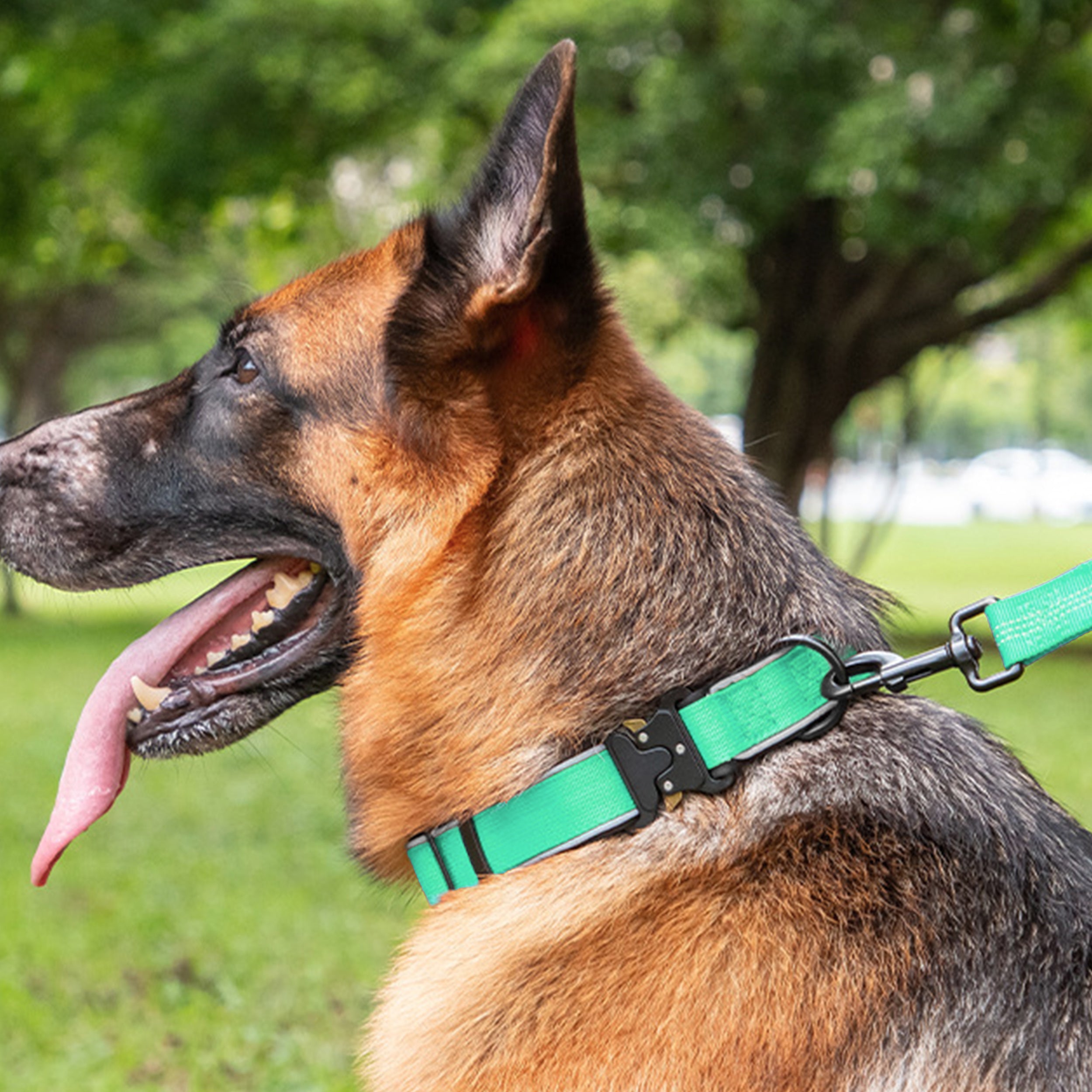 Anna-Kaci Dog Collar Reflective Comfort Padded Adjustable Adventure Nylon Pet Collars for All Breeds