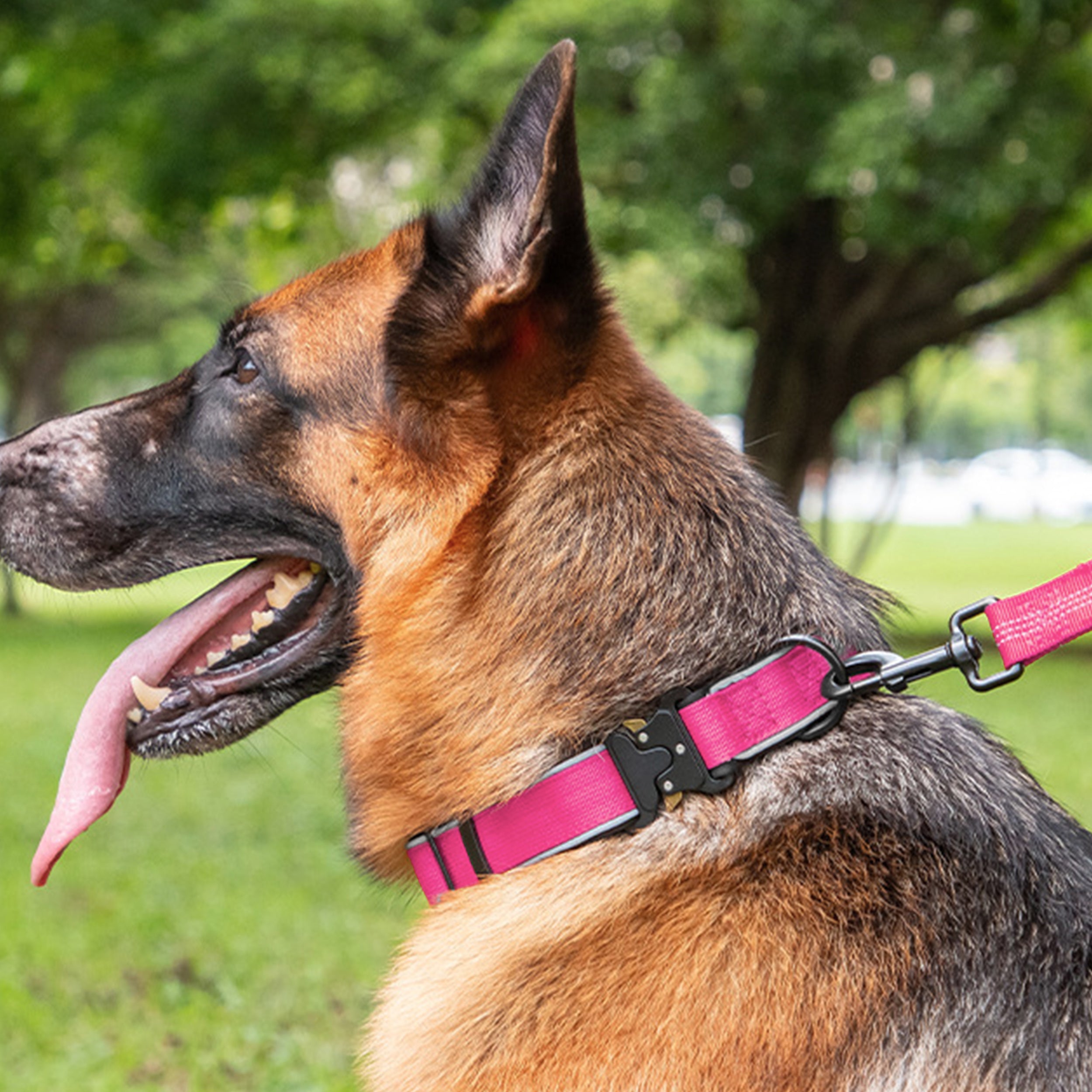 Anna-Kaci Dog Collar Reflective Comfort Padded Adjustable Adventure Nylon Pet Collars for All Breeds