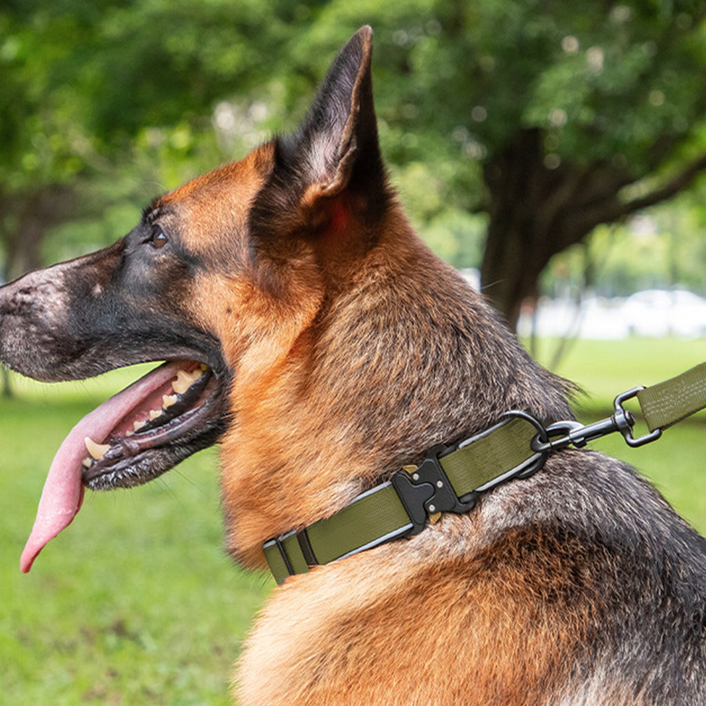 Anna-Kaci Dog Collar Reflective Comfort Padded Adjustable Adventure Nylon Pet Collars for All Breeds