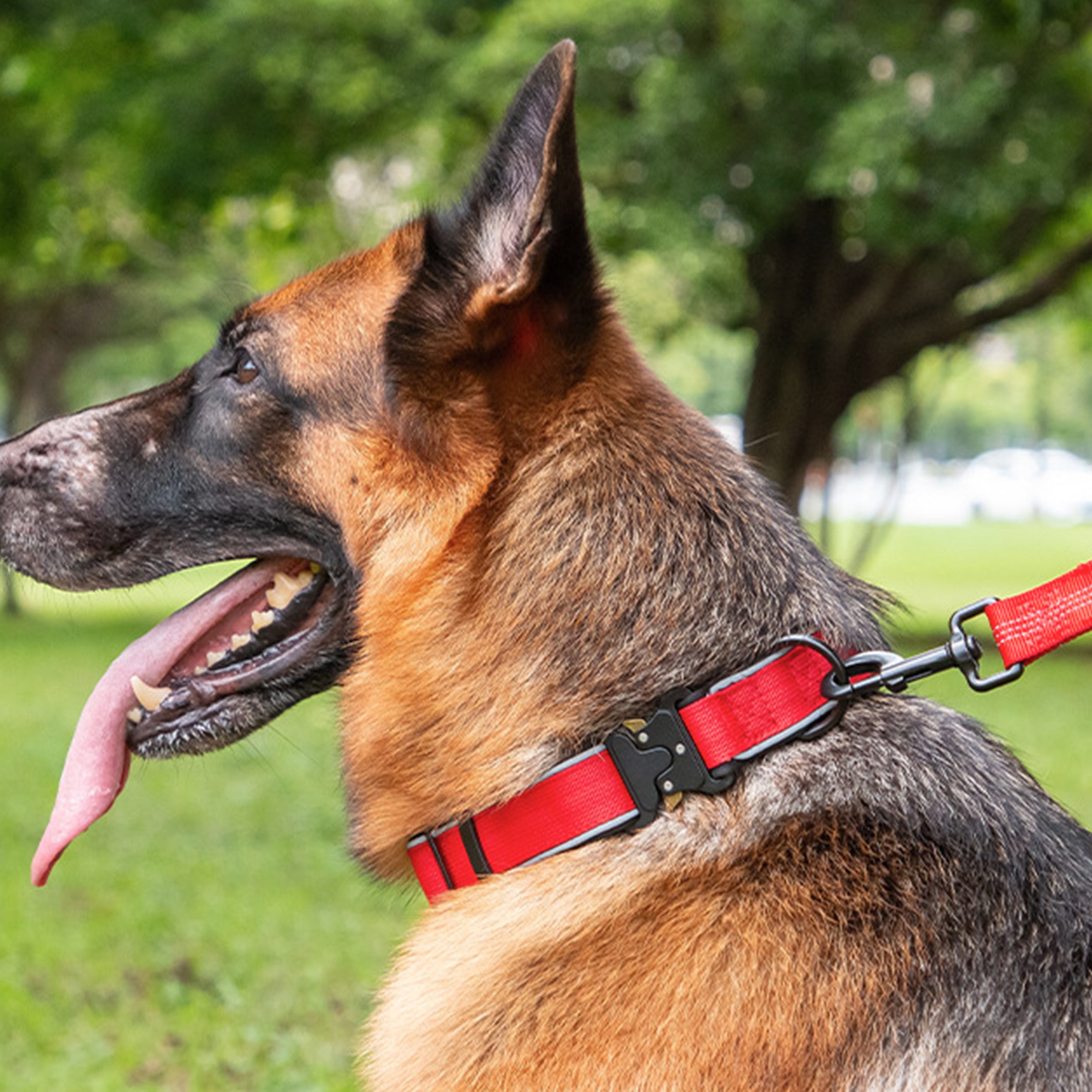 Anna-Kaci Dog Collar Reflective Comfort Padded Adjustable Adventure Nylon Pet Collars for All Breeds