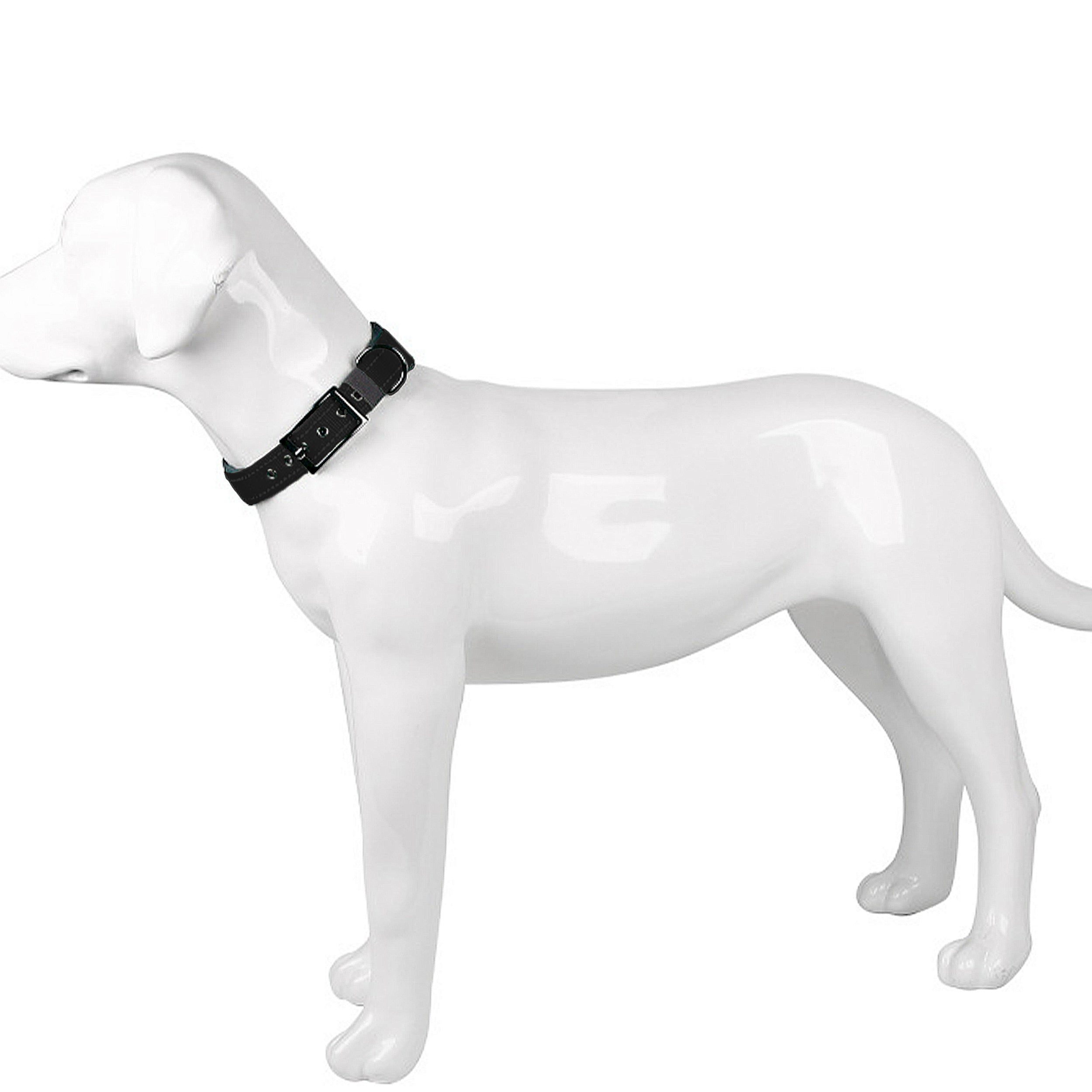 Anna-Kaci Dog Collar Reflective Adjustable Comfort Padded Nylon Pet Collars with Durable Metal Belt Buckle