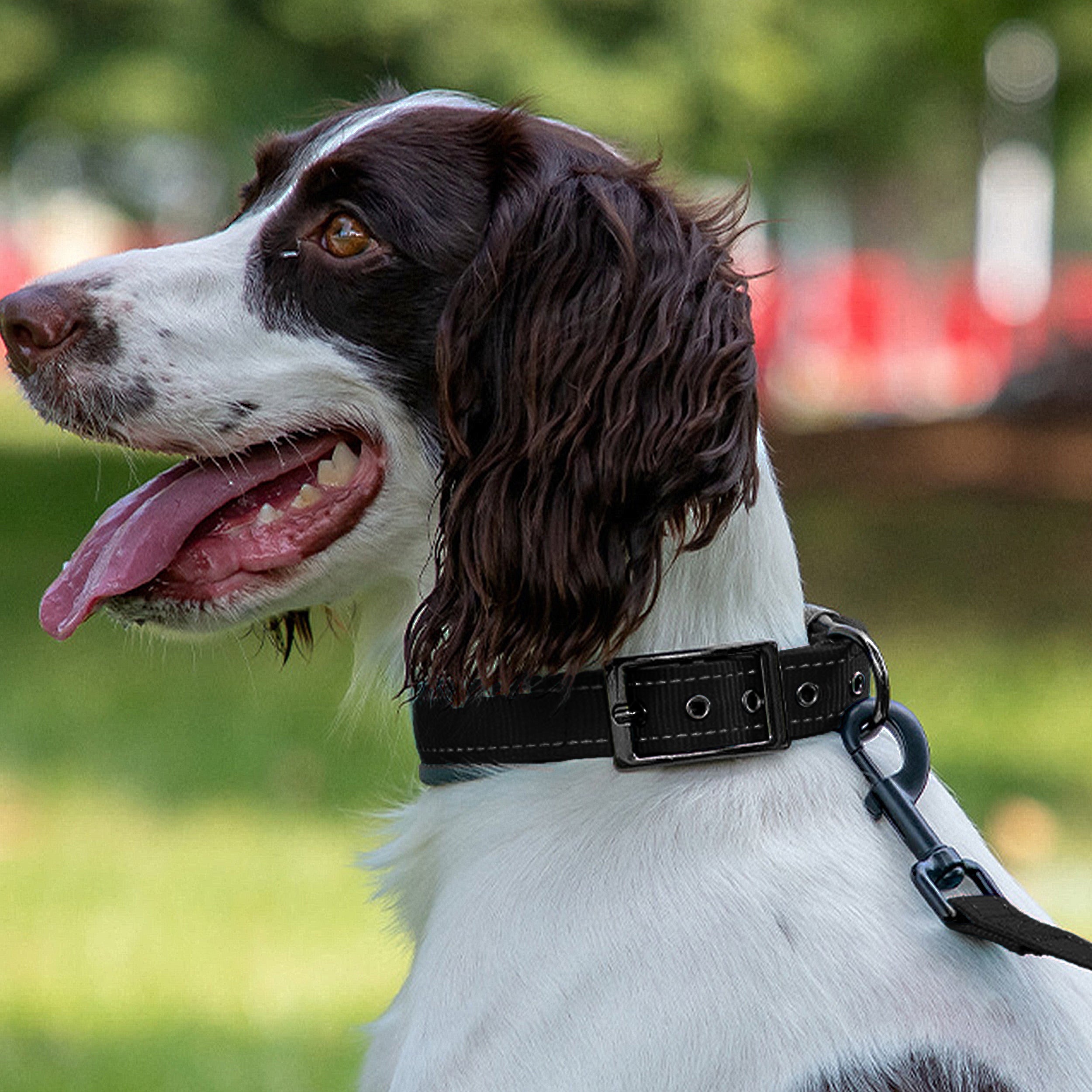 Anna-Kaci Dog Collar Reflective Adjustable Comfort Padded Nylon Pet Collars with Durable Metal Belt Buckle