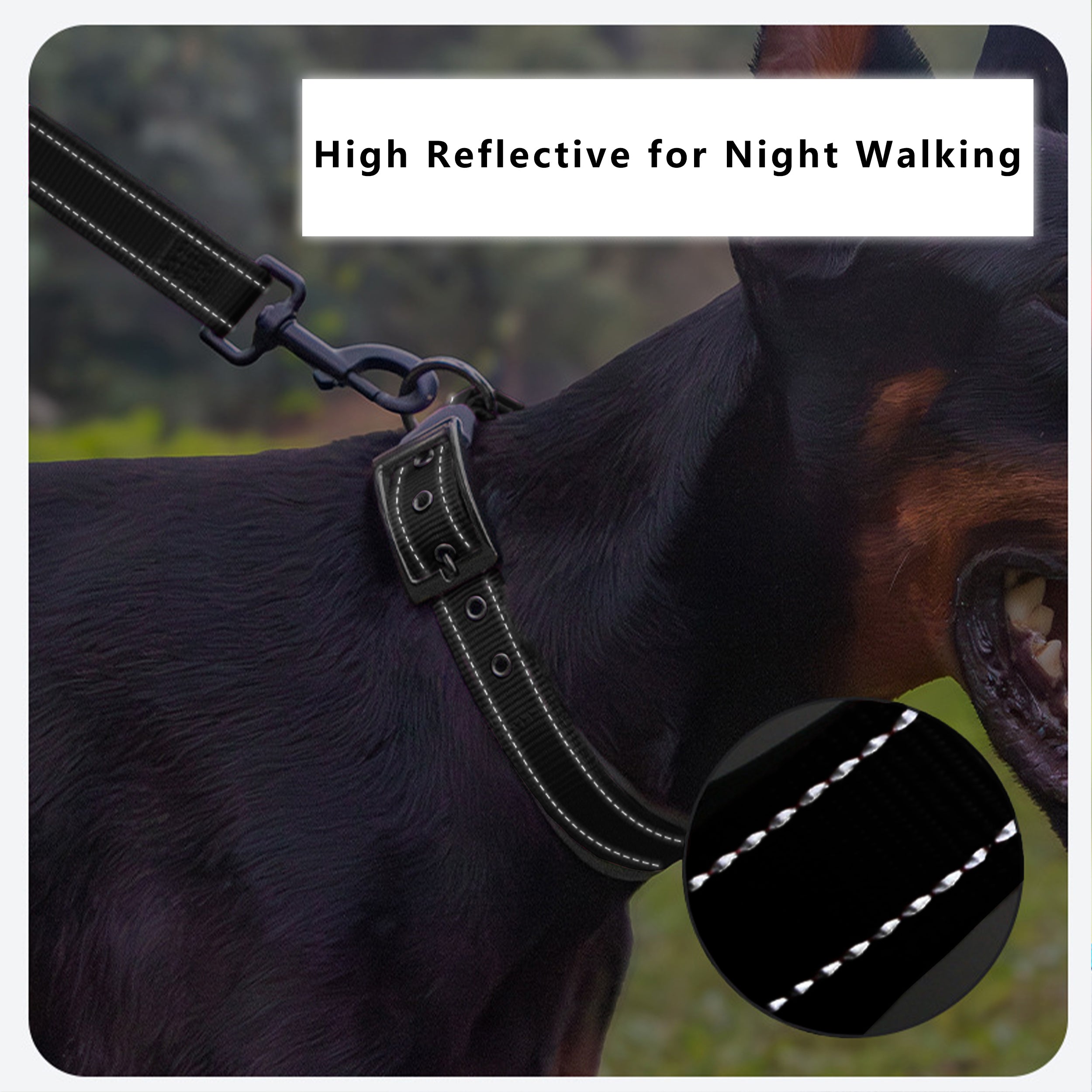 Anna-Kaci Dog Collar Reflective Adjustable Comfort Padded Nylon Pet Collars with Durable Metal Belt Buckle