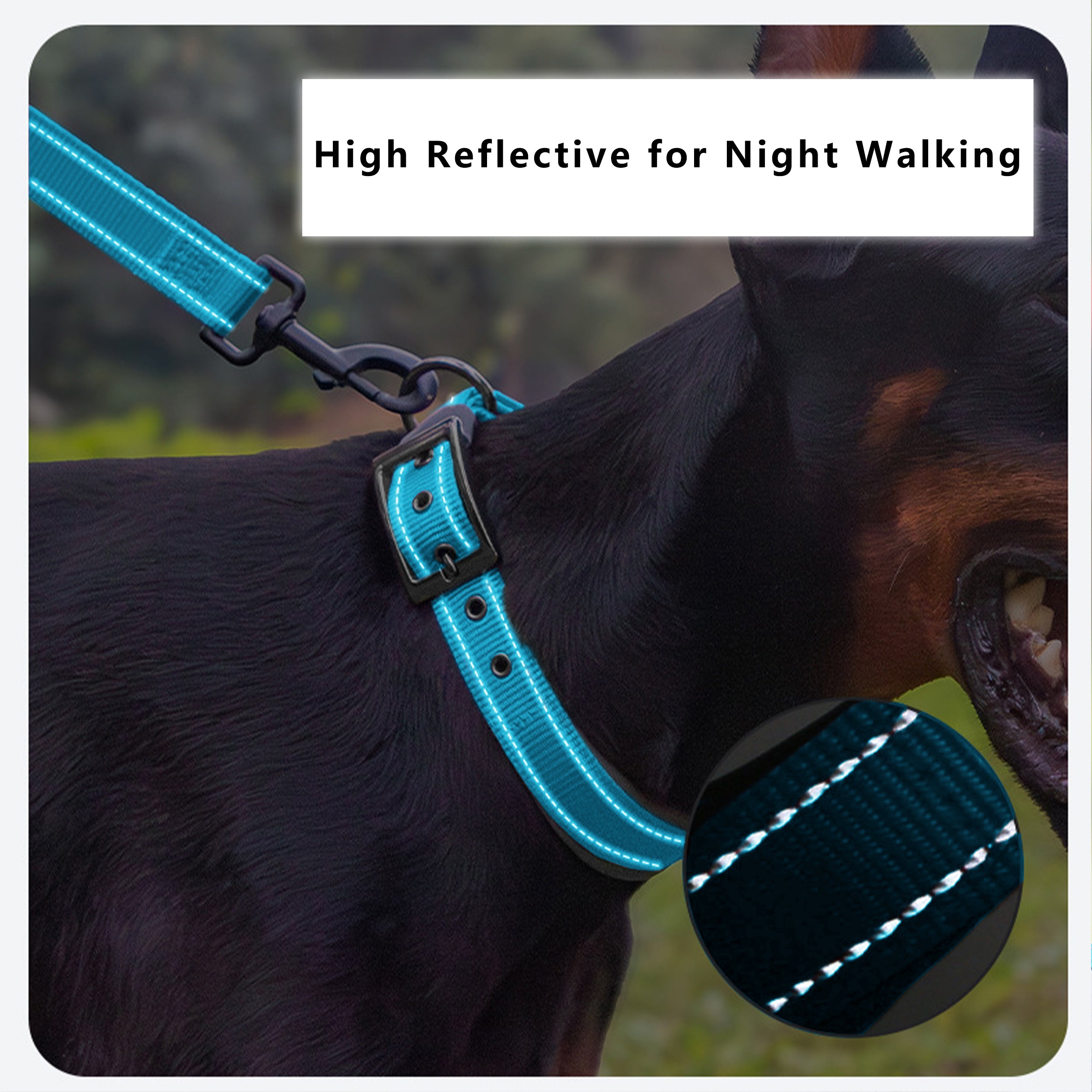 Anna-Kaci Dog Collar Reflective Adjustable Comfort Padded Nylon Pet Collars with Durable Metal Belt Buckle