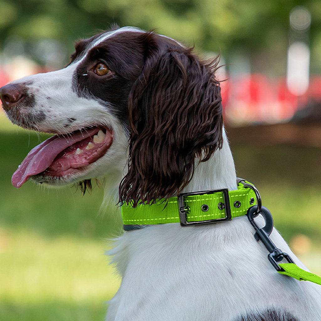 Anna-Kaci Dog Collar Reflective Adjustable Comfort Padded Nylon Pet Collars with Durable Metal Belt Buckle
