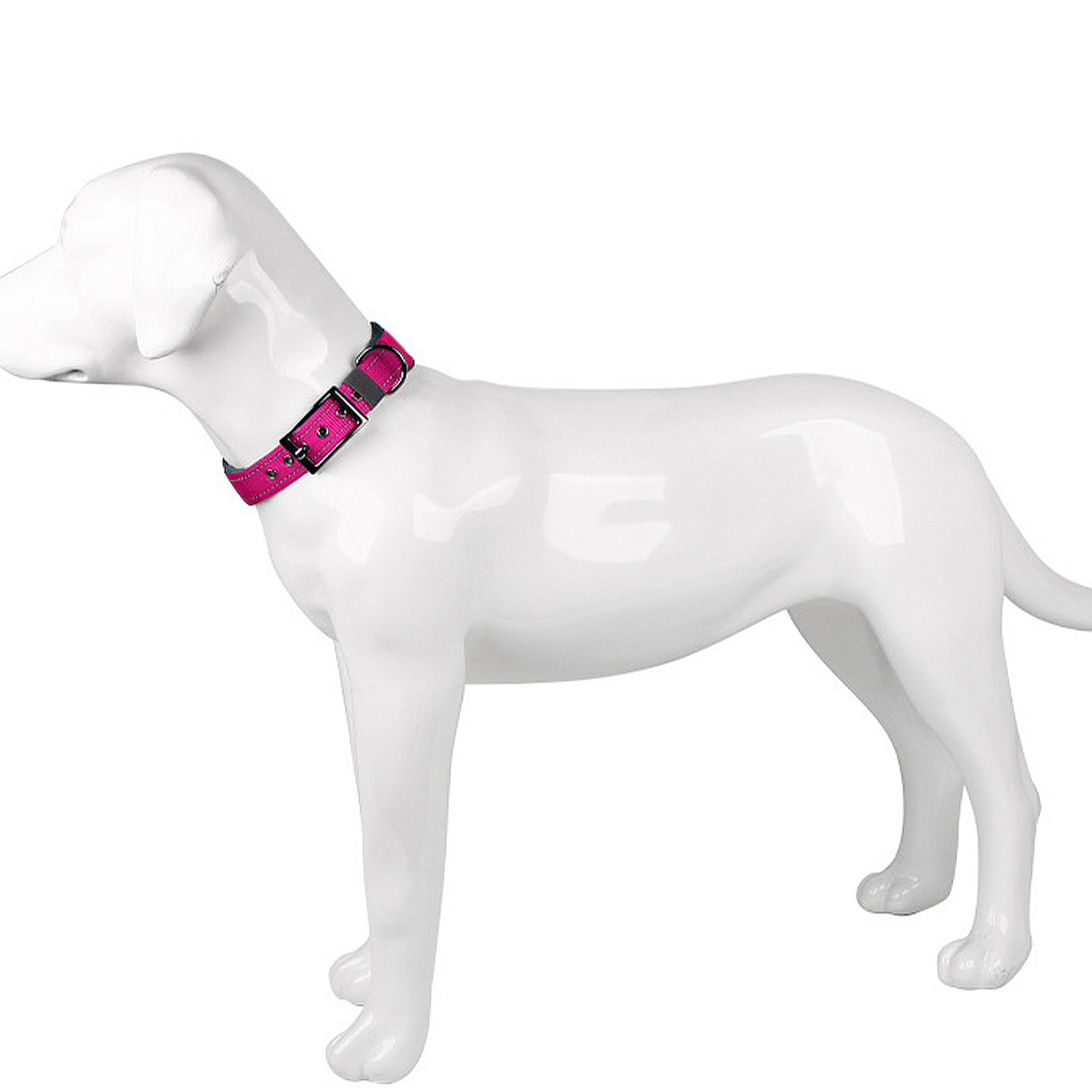 Anna-Kaci Dog Collar Reflective Adjustable Comfort Padded Nylon Pet Collars with Durable Metal Belt Buckle