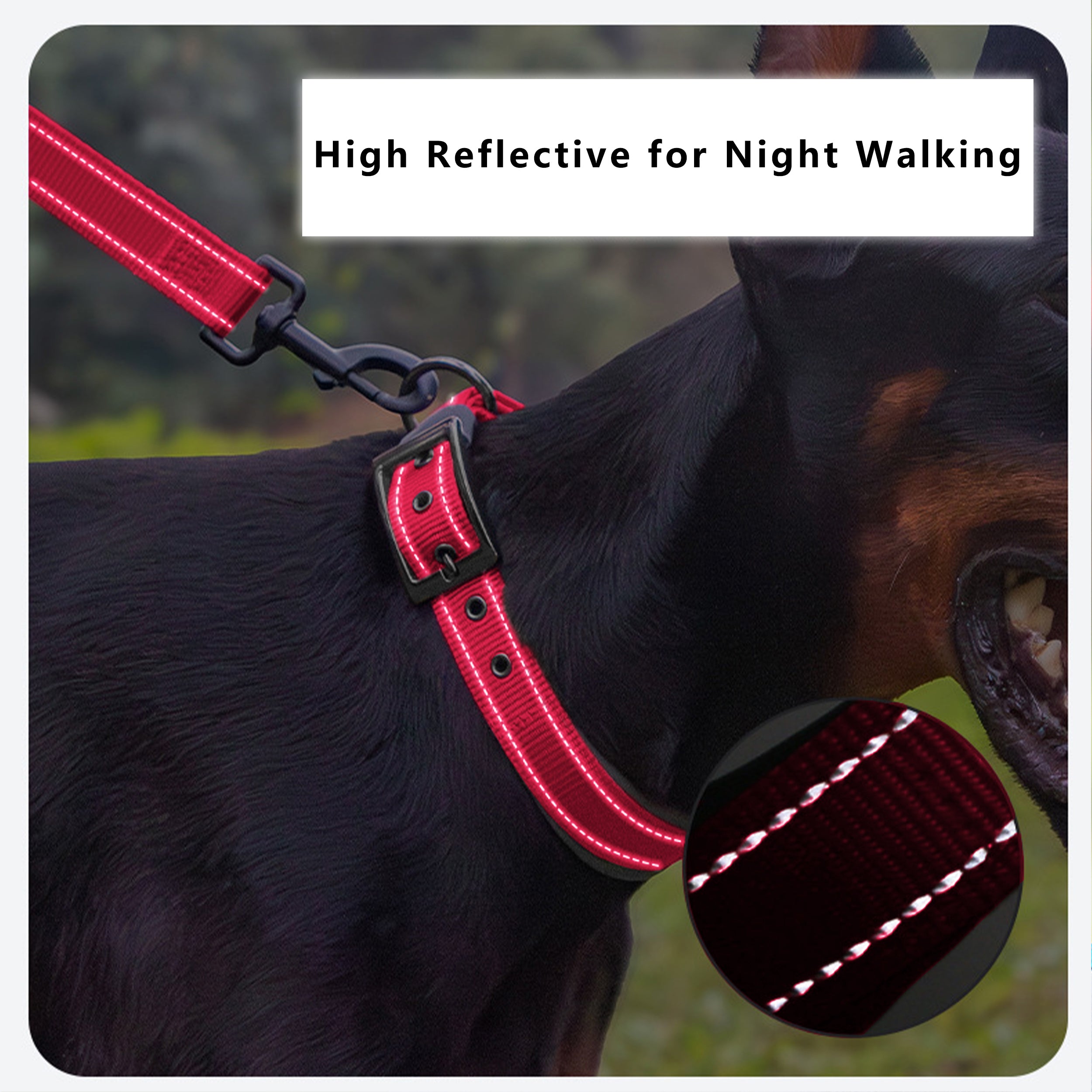 Anna-Kaci Dog Collar Reflective Adjustable Comfort Padded Nylon Pet Collars with Durable Metal Belt Buckle