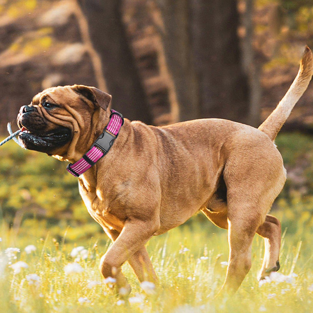 Anna-Kaci Dog Collar Reflective Soft Padded Adjustable Comfort Nylon Collars for All Breeds
