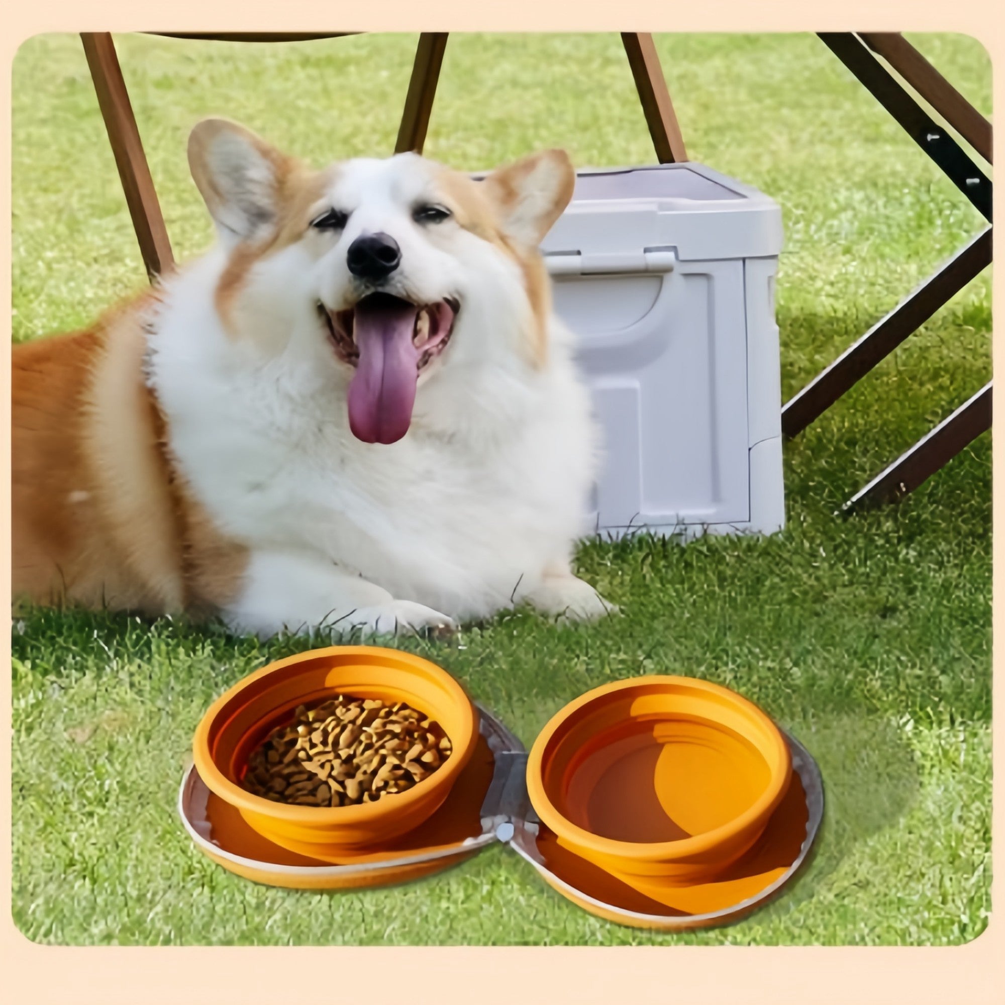 Anna-Kaci Portable Foldable Pet Feeding Bowl with Double Collapsible Design and Zipper Storage Case