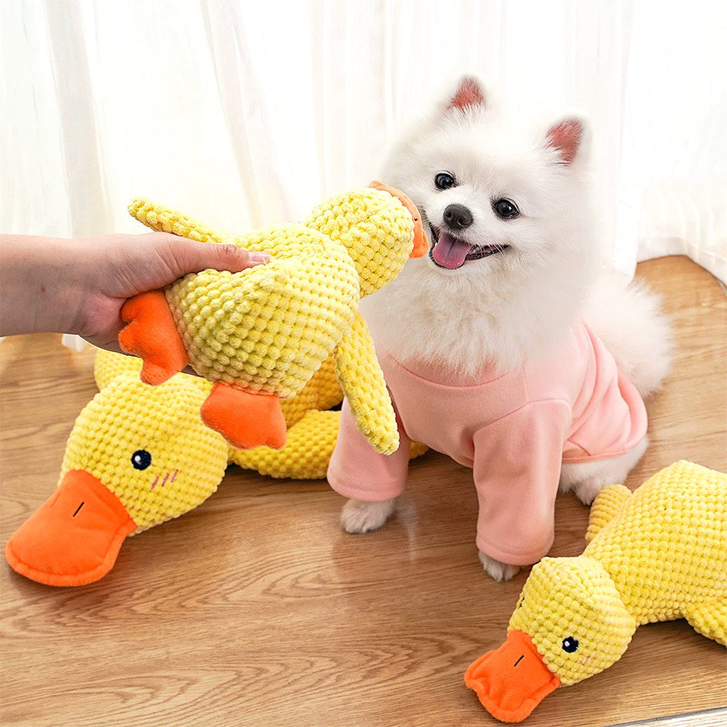 Anna-Kaci Plush Dog Chew Toys, Squeaky Pet Toys, Stuffed Comfort Dog Toys, Interactive Tug of War Puppy Toys