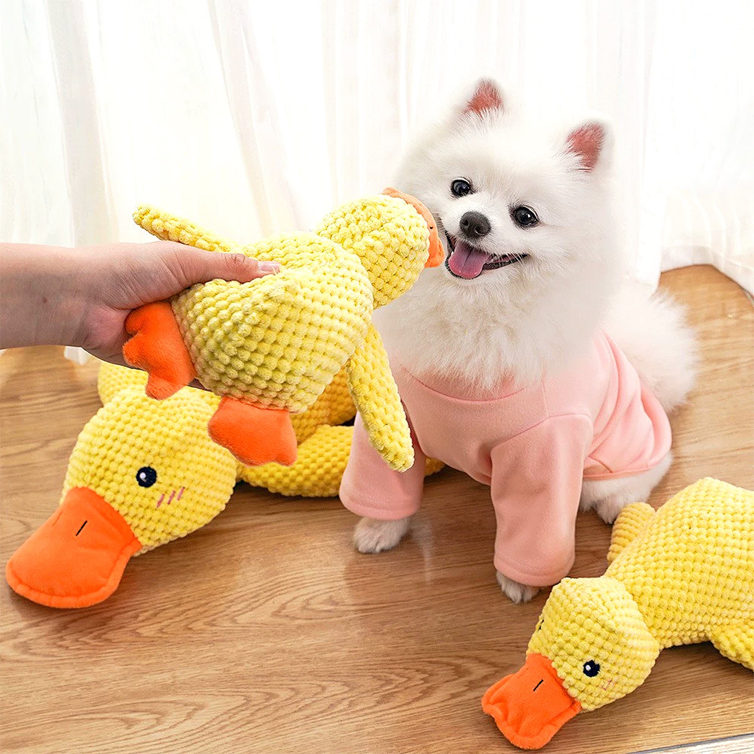 Anna-Kaci Plush Dog Chew Toys, Squeaky Pet Toys, Stuffed Comfort Dog Toys, Interactive Tug of War Puppy Toys